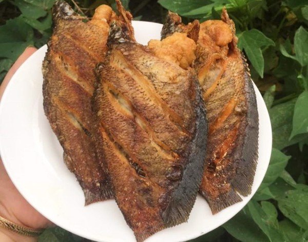 Khô cá sặc